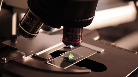 How optical lenses work in scientific and industrial applications.png