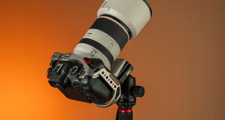 10 Best Telephoto Lenses for Wildlife and Sports Photography.png