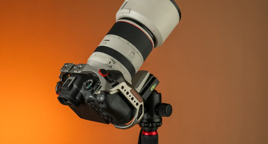 10 Best Telephoto Lenses for Wildlife and Sports Photography