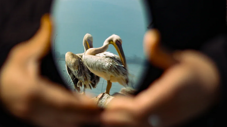 Comparing the best OAP mirrors for optical applications.png