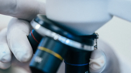 Objective lens with the lowest magnifying power.png