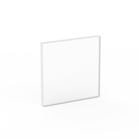 BOROFLOAT&reg; Borosilicate Windows