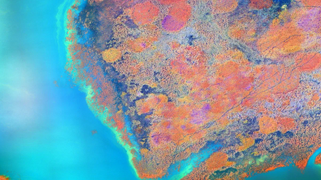 Hyperspectral imaging vs multispectral.png