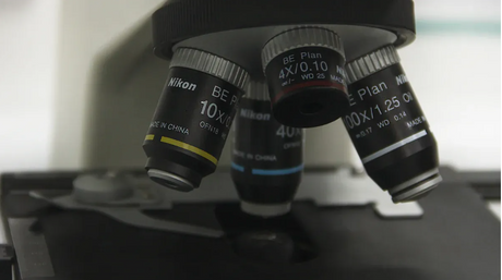 Understanding Objective Lenses Magnification, Numerical Aperture, and Selection Criteria.png