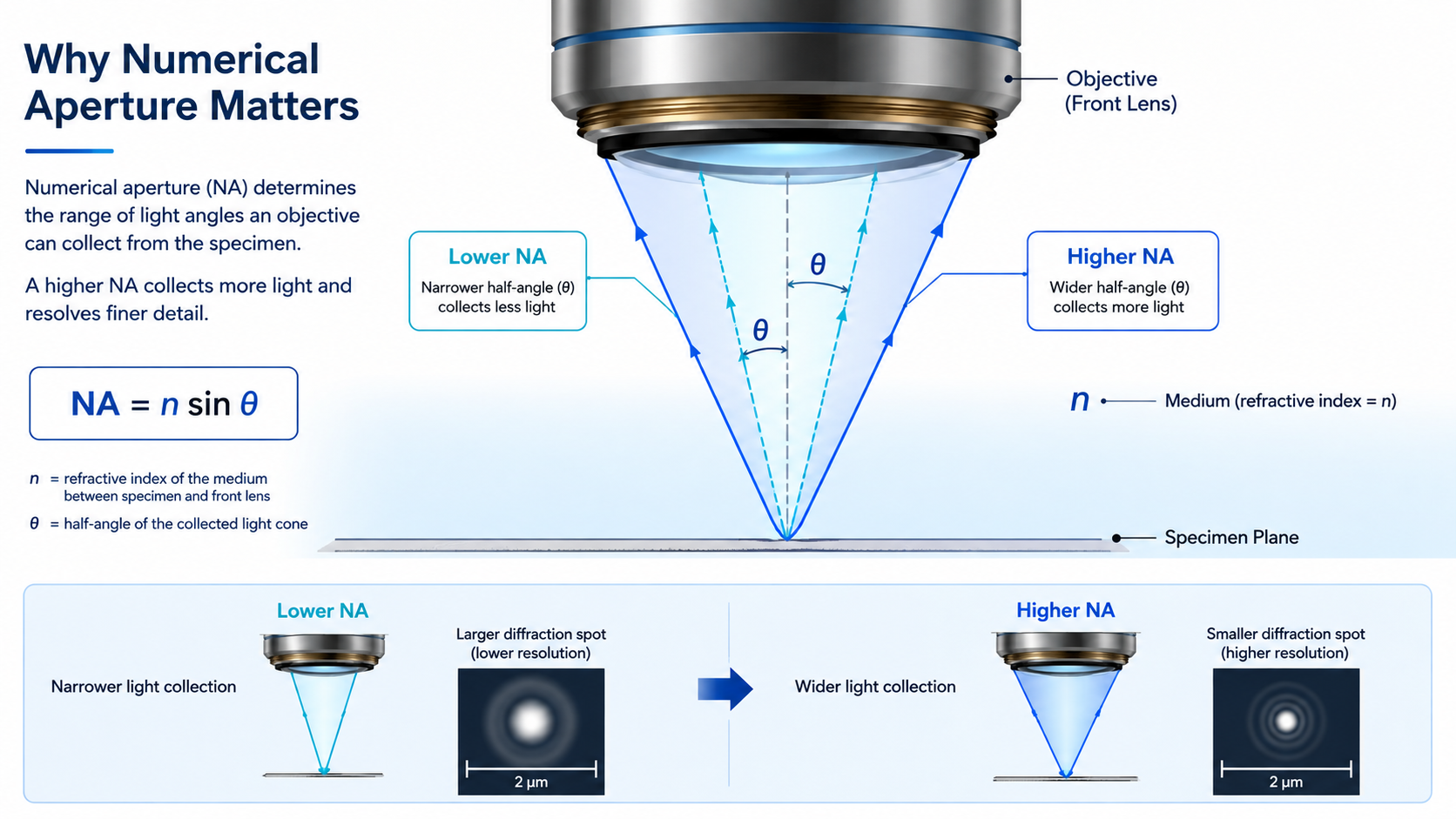 apertura-numerica-light-cone.png